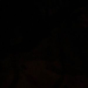 Meet your Posher, Jonah